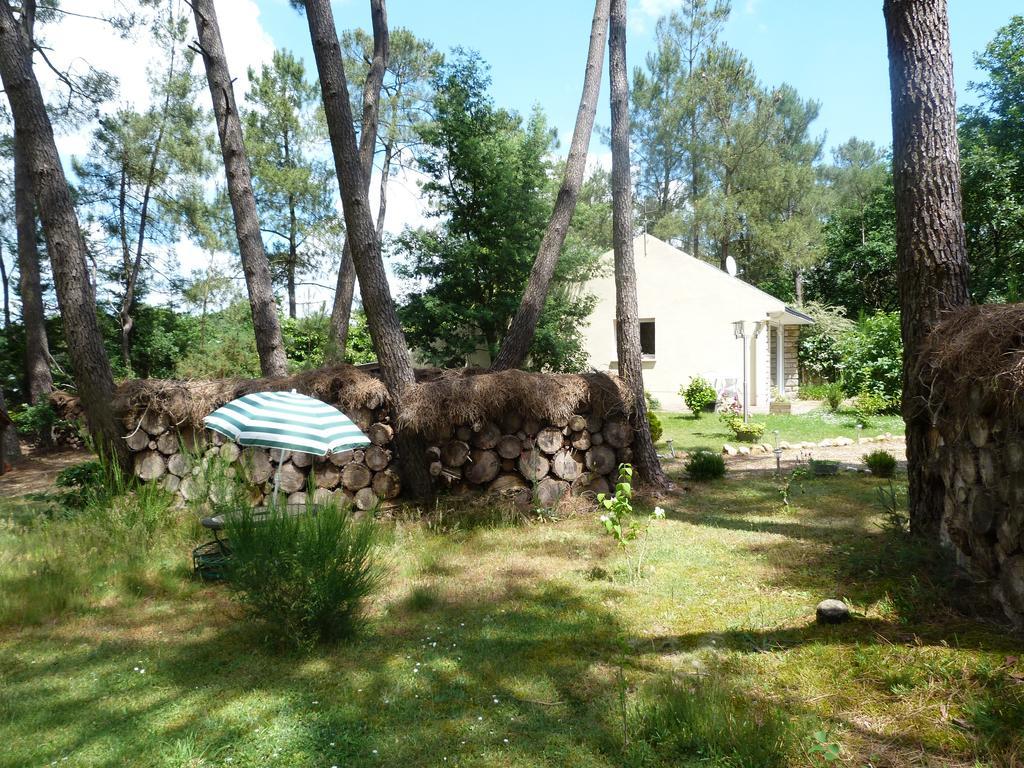 Gite De La Gree St Jean La Gacilly Kültér fotó
